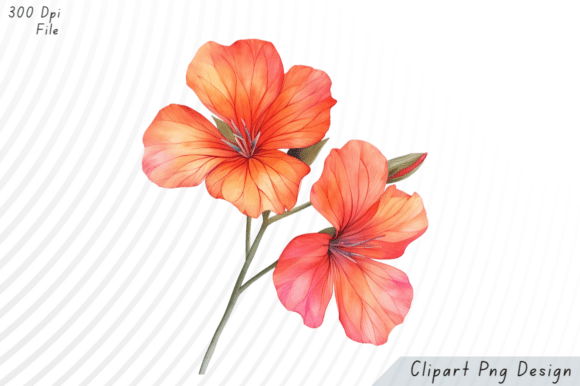 Watercolor Orange Blossom Flower Clipart: A Versatile Digital Resource